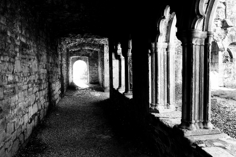 49 - Bective Abbey Ruins