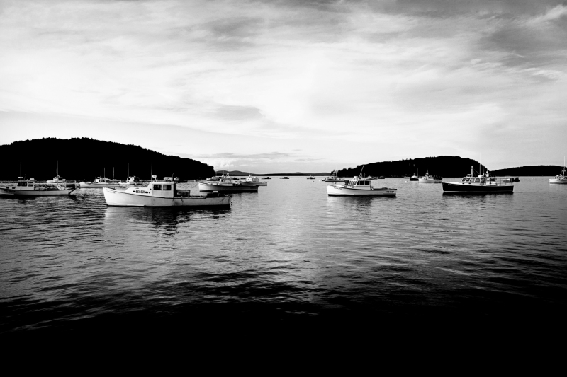 14 - Fishing Boats Black and White