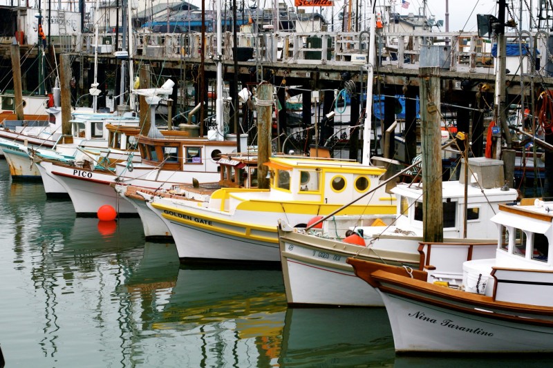 26 - Fishing Boats